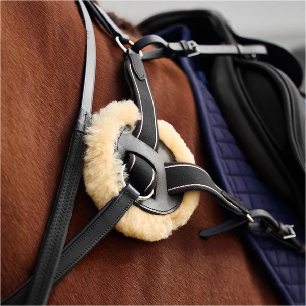 2026 Dublin 5-Point Event Breastplate 1031503 - Black